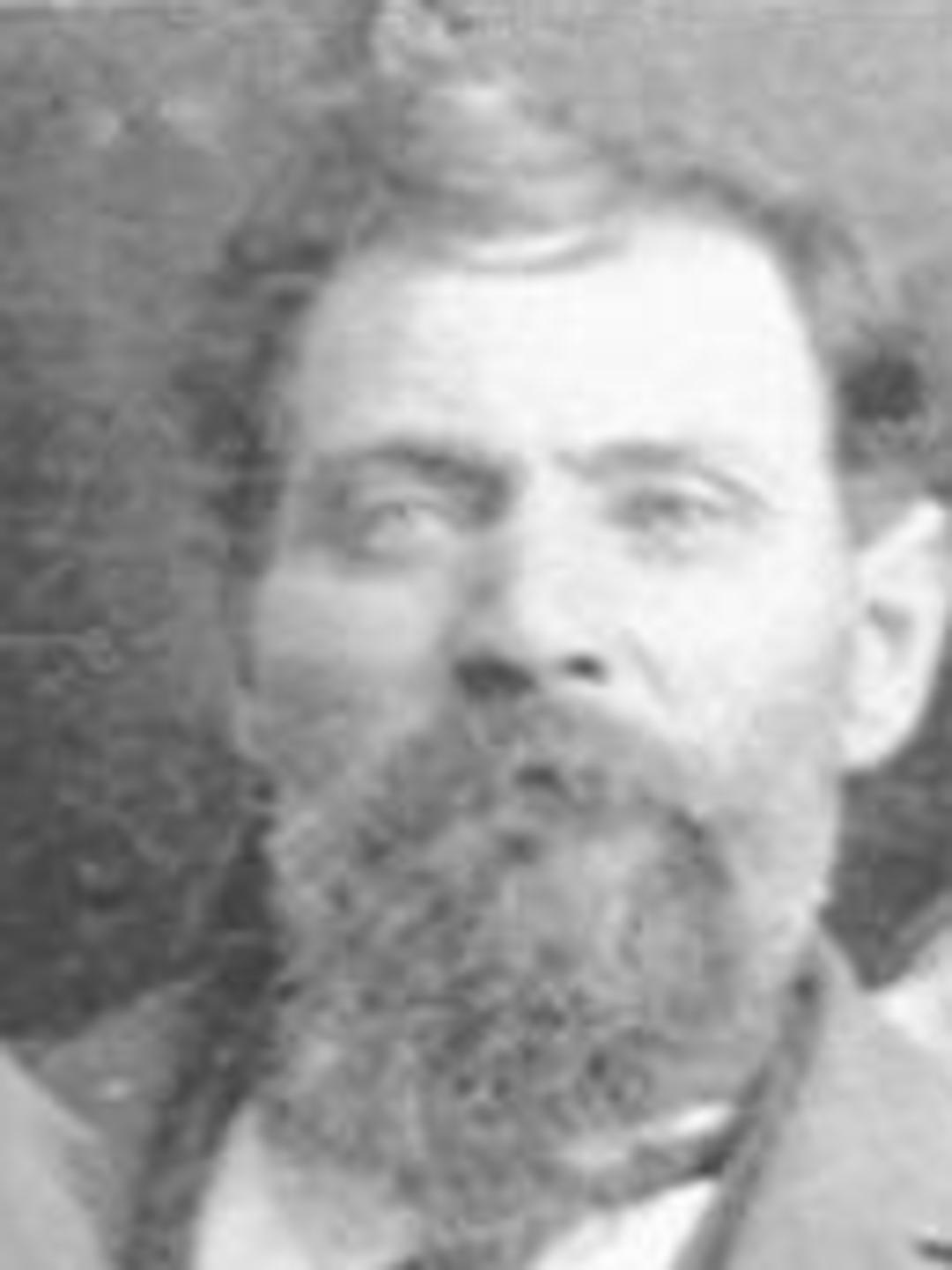 George William Carrell (1851 - 1939) Profile